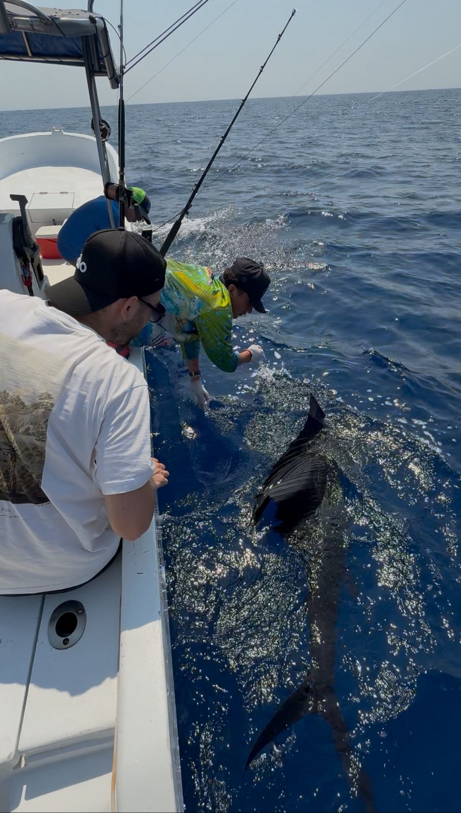 sportfishing catch and release
