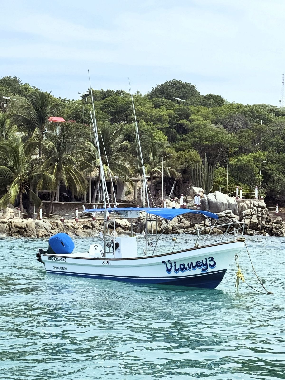 vianey 3