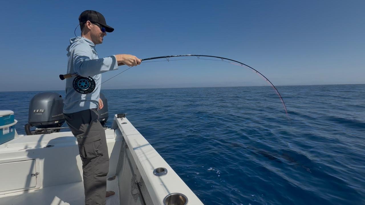 los reyes sportfishing puerto escondido (16)